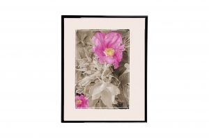 Mylar Framed Print – Pink flowers