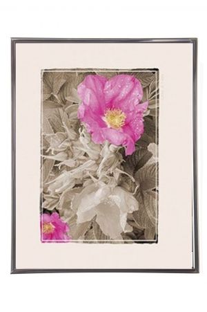 Mylar Framed Print – Pink flowers