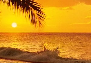 Photowall Pacific Sunset