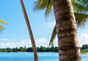 Photowall Caribbean Sea