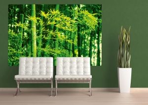 Photowall Bamboo in Spring