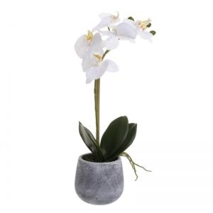 Декоративно растение Бяла Орхидея 40 см.