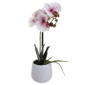 Декоративно растение Пъстра орхидея 38 см.