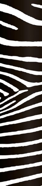 Sticker frieze Zebra