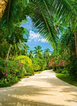 Фототапет Tropical Pathway