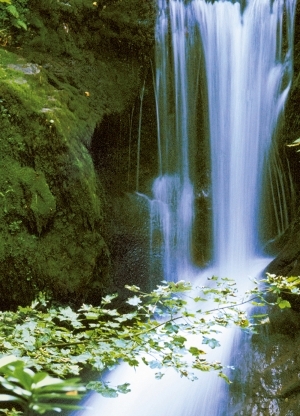 Фототапет Waterfall in Spring