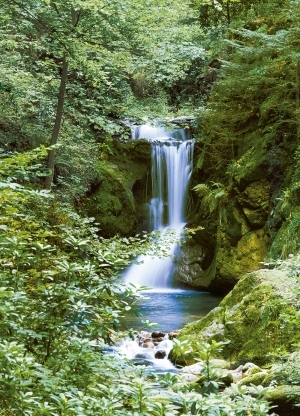 Waterfall in Spring