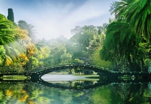 Фототапет Bridge in the Sunlight