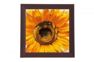 Framed Print - Yellow chrysanthemum