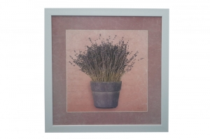 Framed Print - Aroma of lavender