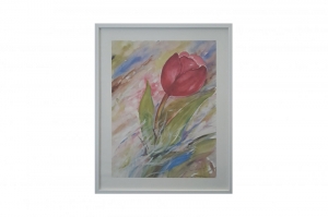 Mylar Framed Print - Pink tulip